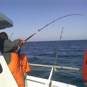 Meet your Posher, Ariel